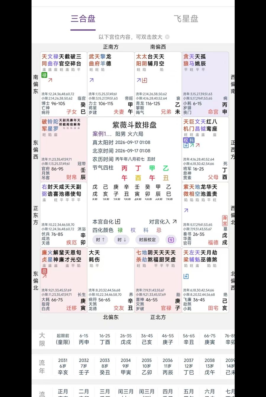紫薇斗数排盘1.0.1 命理排盘工具 紫薇斗数排盘1.0.1 命理排盘工具