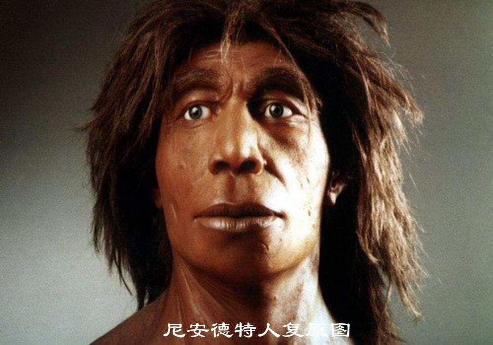 人类沙盒模拟器安卓版游戏截图