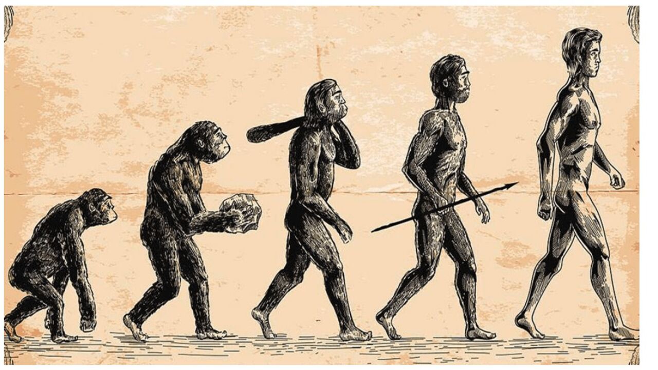 人类沙盒模拟器安卓版存档界面