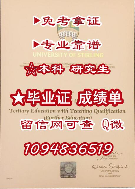 动讯 安卓版 操作界面