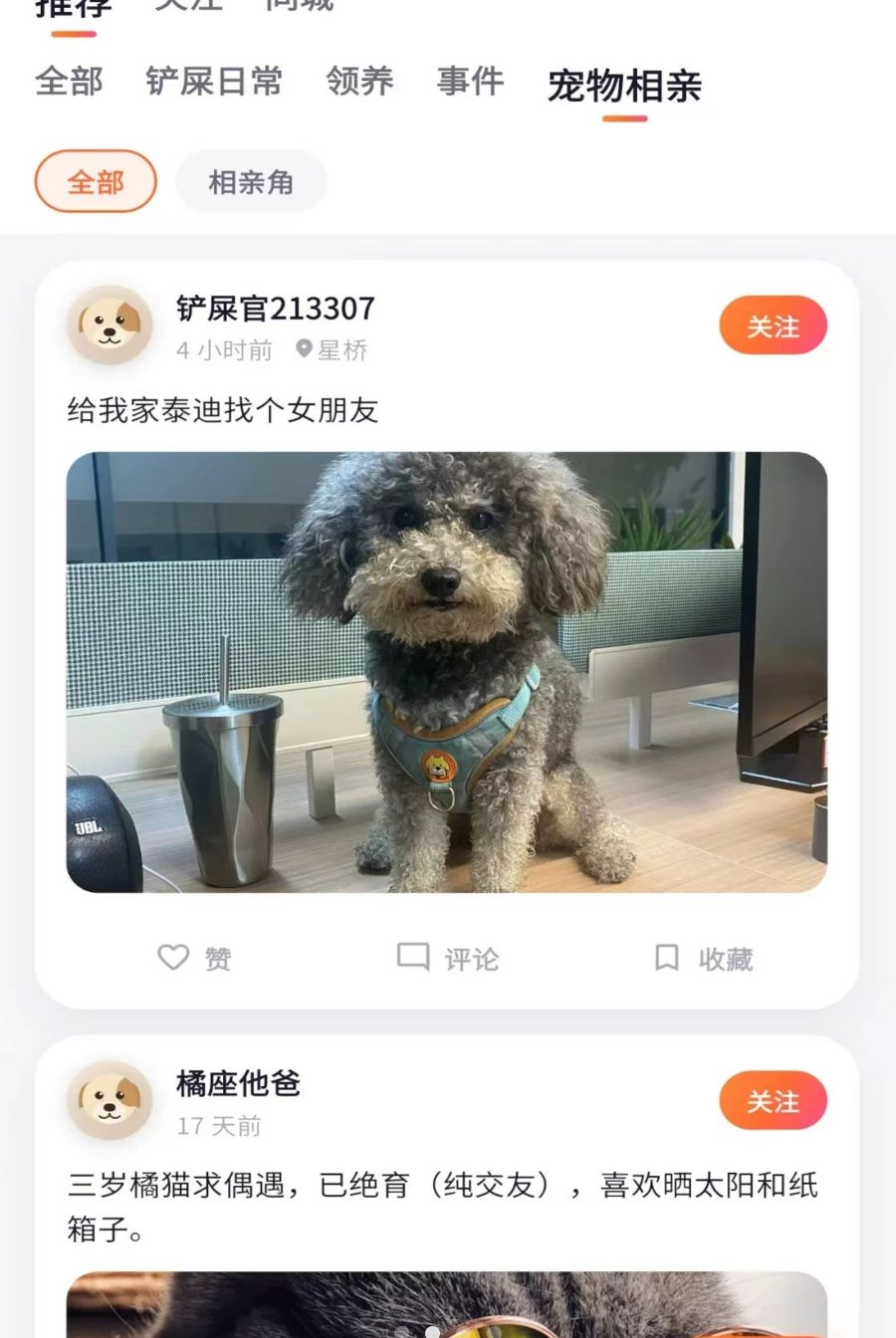 别流浪1.0.0 生活服务助手 别流浪1.0.0 生活服务助手
