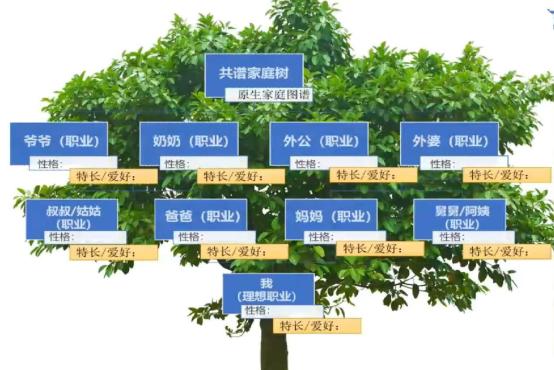 特殊符号卡昵称app官方版下载安装最新版 安卓苹果通用符号昵称生成工具界面截图