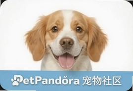 PetPandora宠物社区养宠交流分享平台