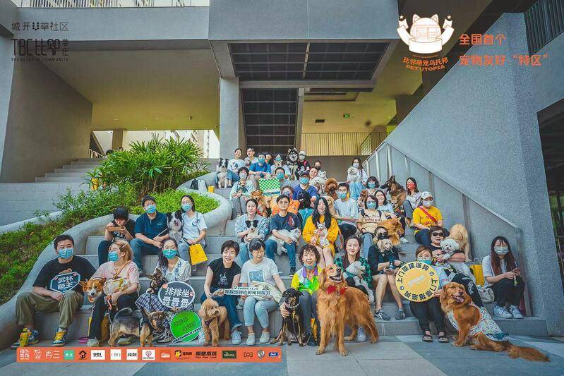 PetPandora宠物社区用户互动问答与经验交流场景