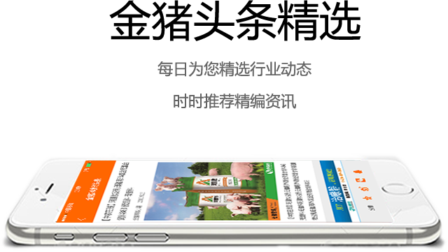 金融猪官方iOS版app在App Store搜索页面示意