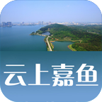 云上嘉鱼1.2.61 本地资讯服务