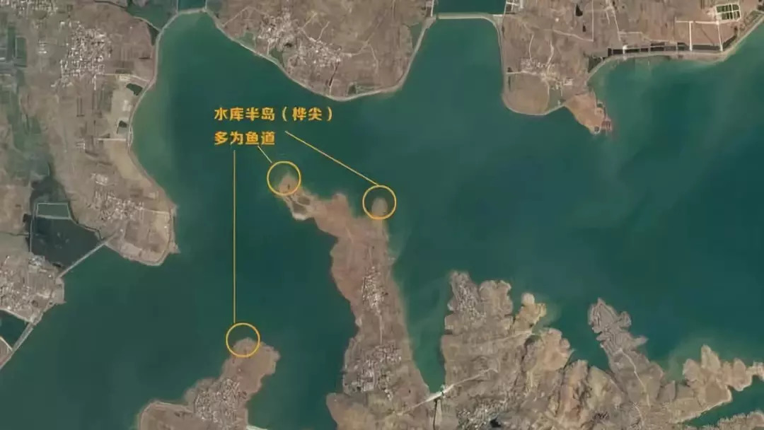 渔在哪 河流水库野塘野钓地点对比配图