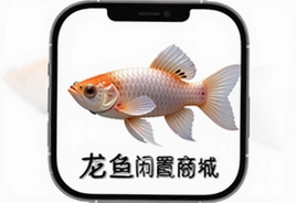 ���������̳�app���عٷ��������