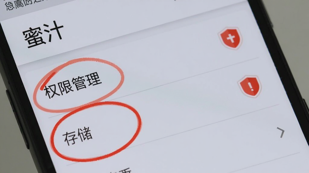 一部安卓手机屏幕显示“蜜汁”应用的设置页面,页面中“权限管理”与“存储”选项被高亮圈出,旁边有红色盾牌图标表示安全提示,背景为浅灰色,画面简洁直观,画质清晰,无多余元素
