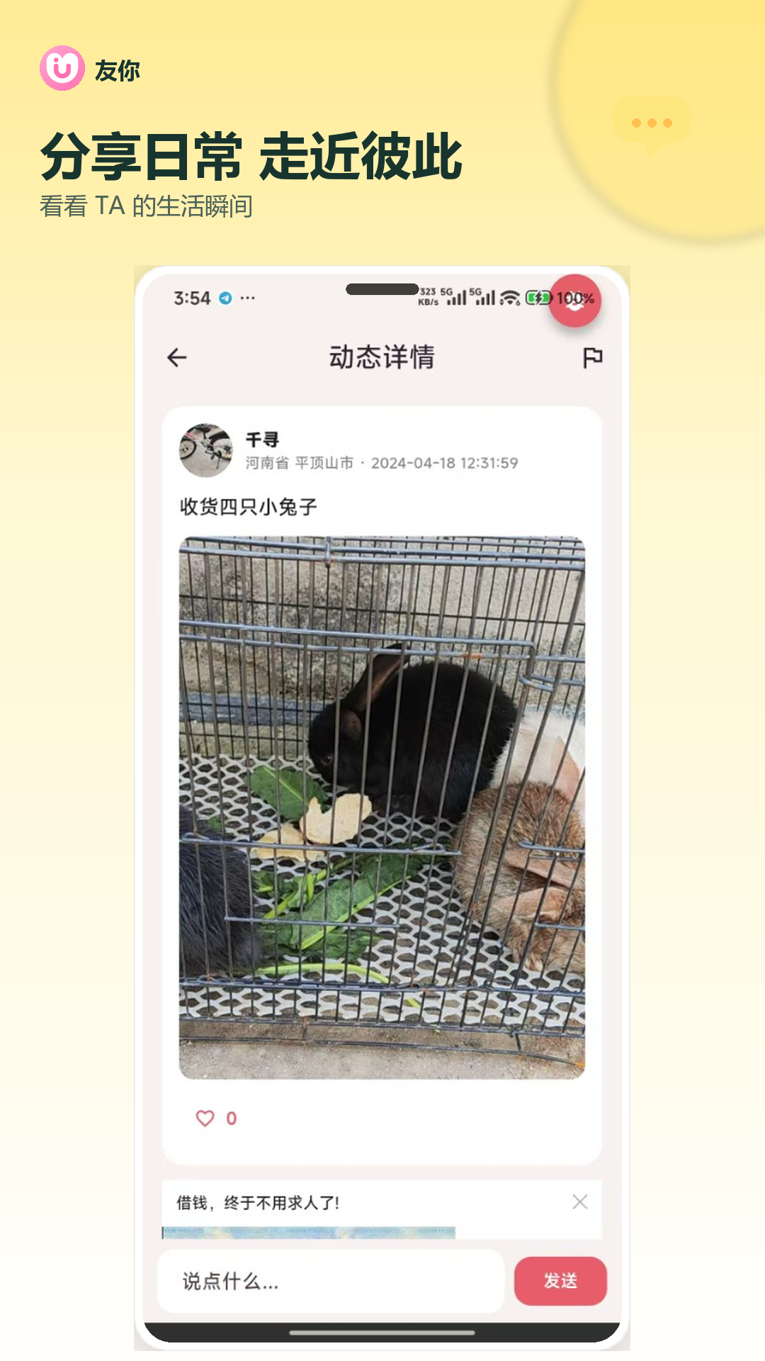 ����1.8.5 �罻����