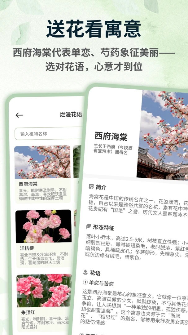青青草棠1.0.5 阅读学习工具