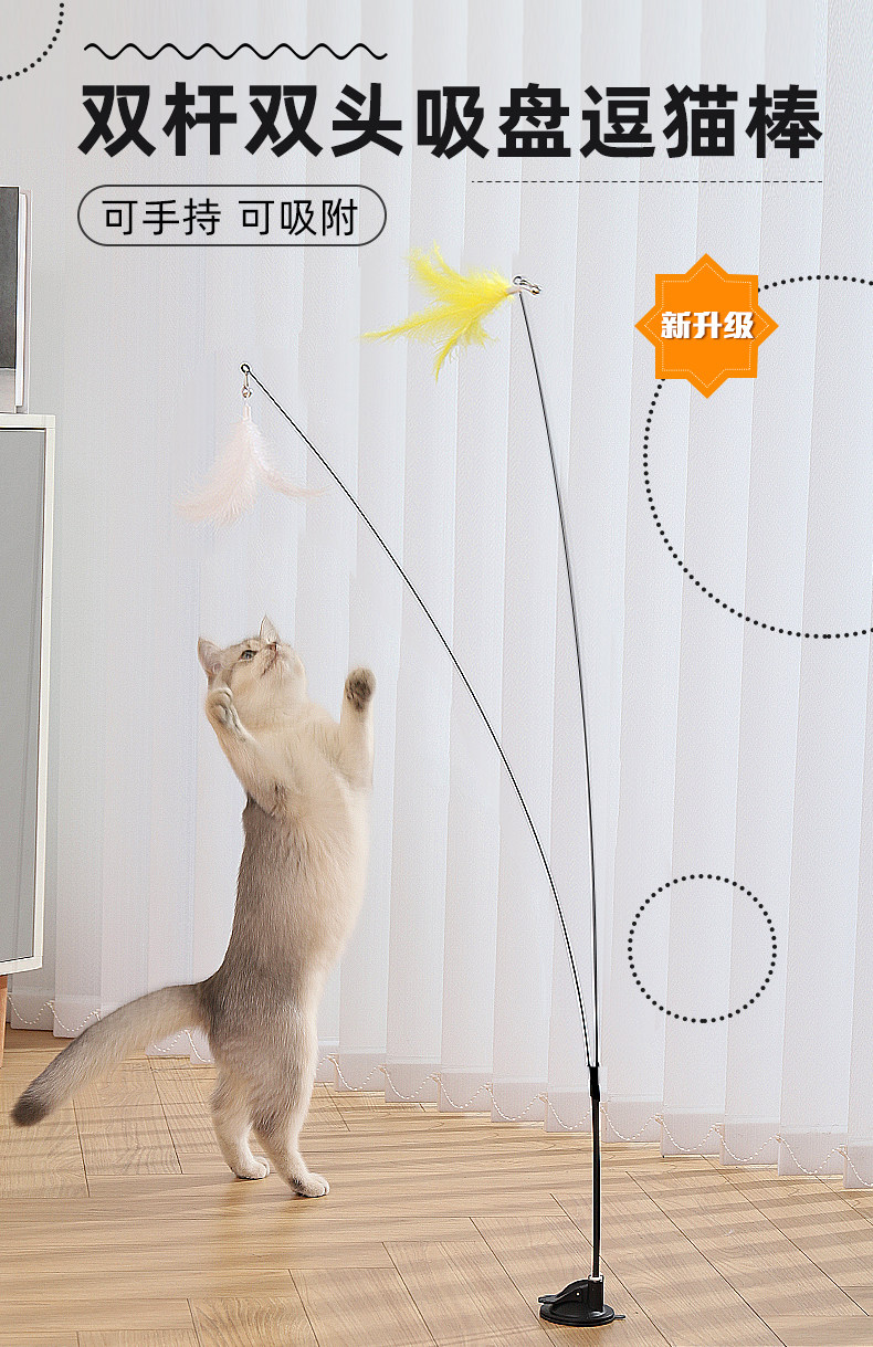 陪猫专注前用逗猫棒消耗猫咪精力