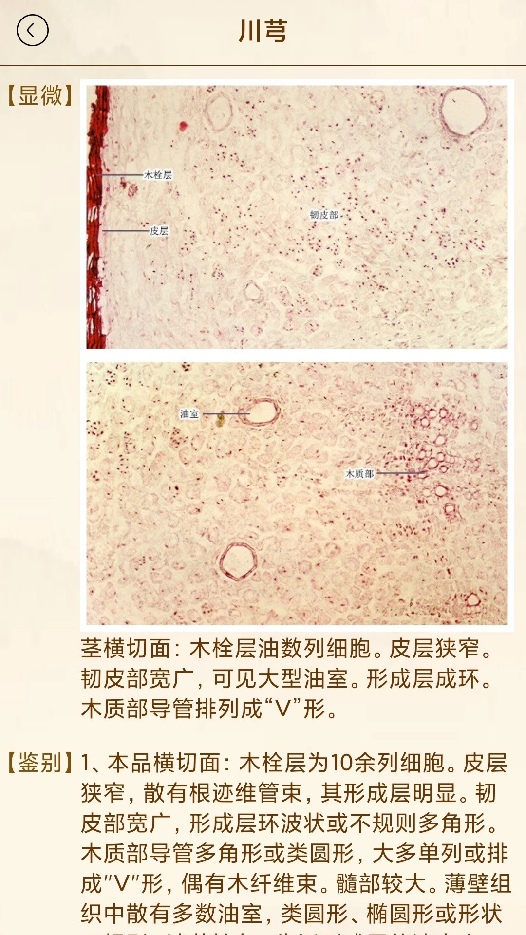 中医方歌2.7.1-20261012 方剂速记 中医方歌2.7.1-20261012 方剂速记