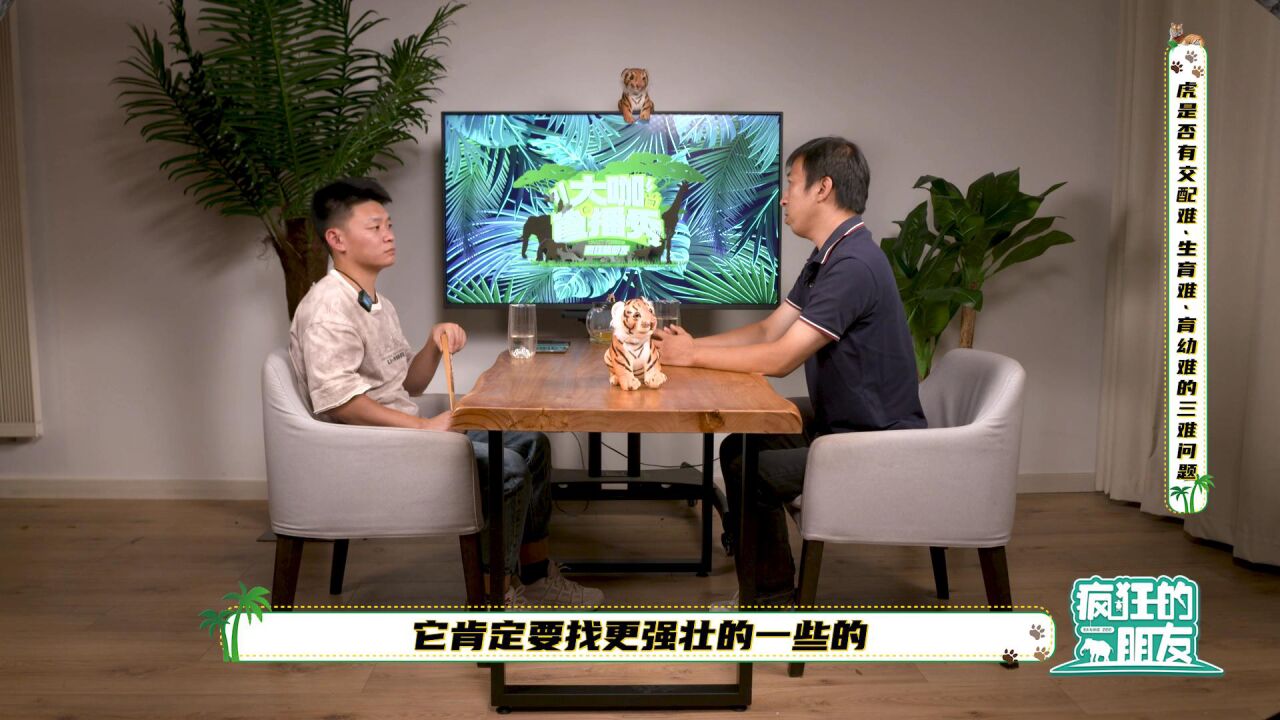 铸剑大师游戏角色道具属性介绍 安卓版