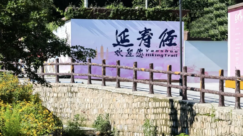 跃动小子安卓版游戏角色战宠界面截图