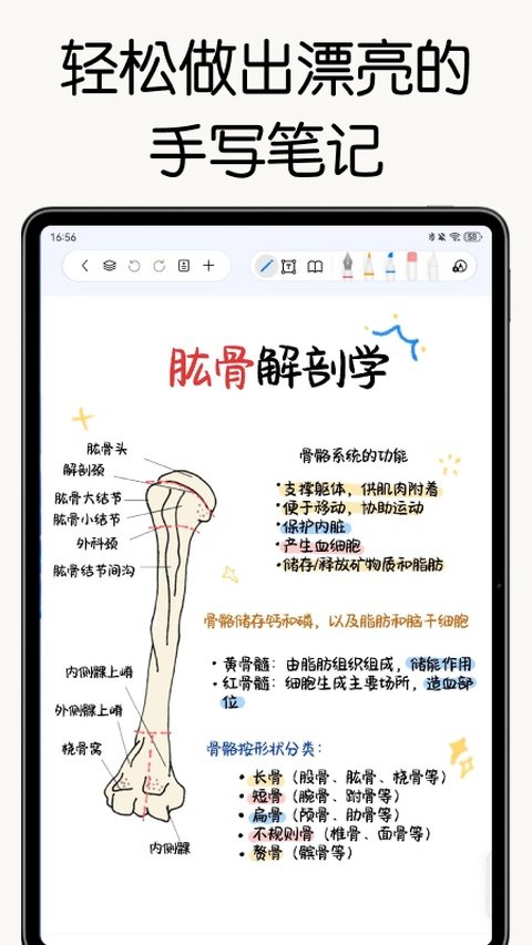 自由笔记安卓版下载安装v3.26.0 手机版