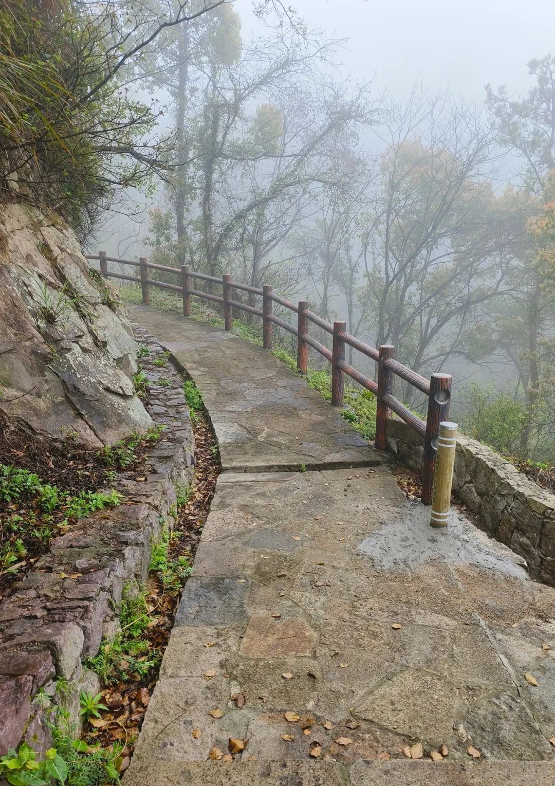 环浙步道 仙居段高山山脊线云海徒步