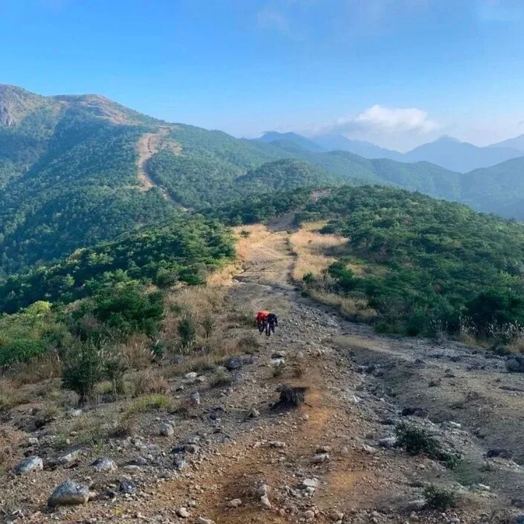 环浙步道 绍兴诸暨段山脊线秋季芒草徒步