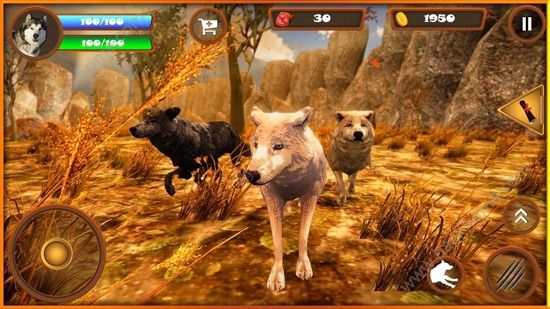 终极狼模拟器游戏安卓版下载(The Ultimate Wolf Simulator) 终极狼模拟器游戏安卓版下载(The Ultimate Wolf Simulator)