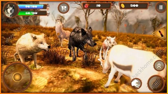 终极狼模拟器游戏安卓版下载(The Ultimate Wolf Simulator) 终极狼模拟器游戏安卓版下载(The Ultimate Wolf Simulator)