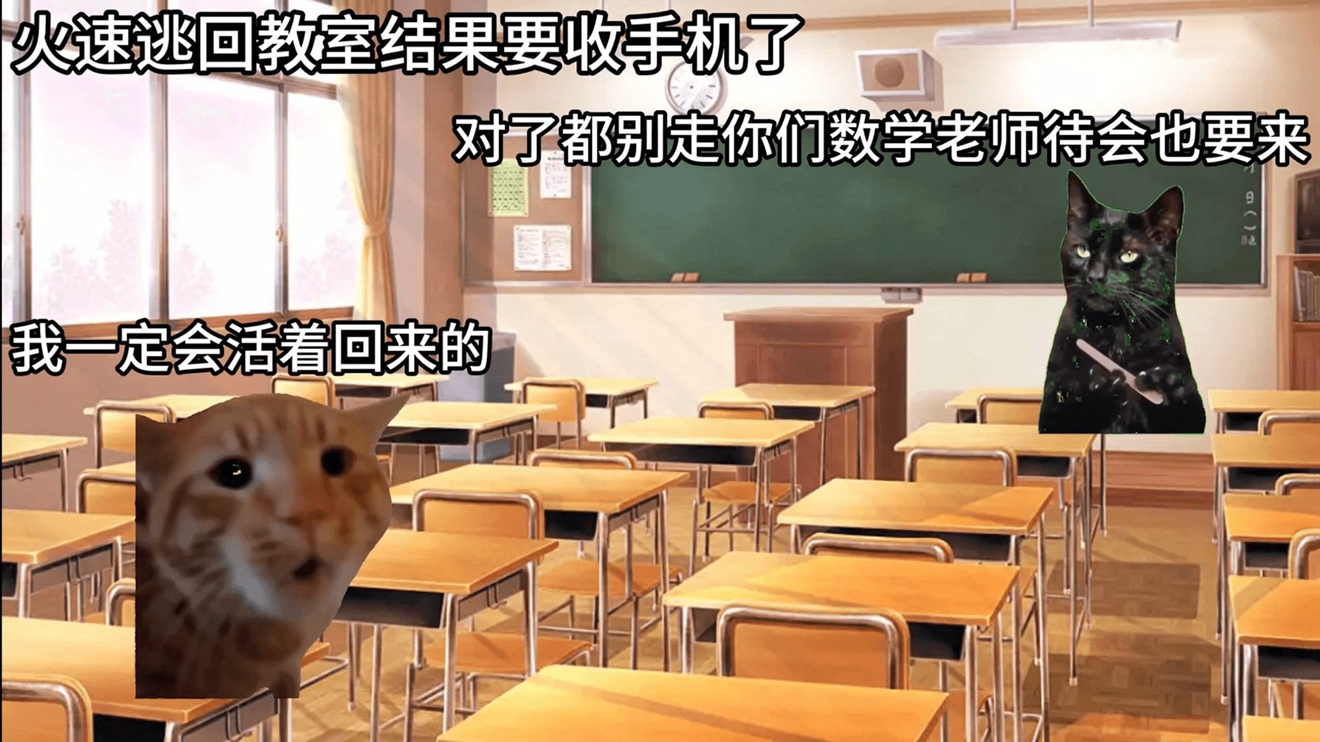 �ֲ�èè���������ֻ��氲׿��