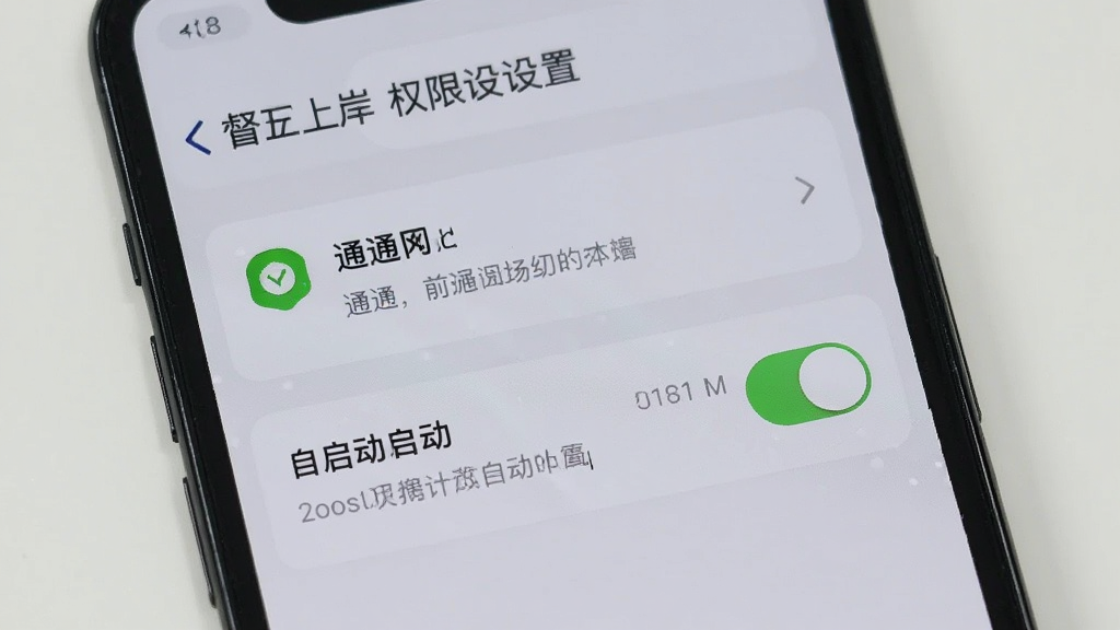 手机屏幕显示督上岸权限设置界面,包含通知和自启动开关,主体为手机,布局列表式,排版清晰,风格为浅灰质感,细节包括权限图标和说明文字,画质清晰,干净,无多余元素