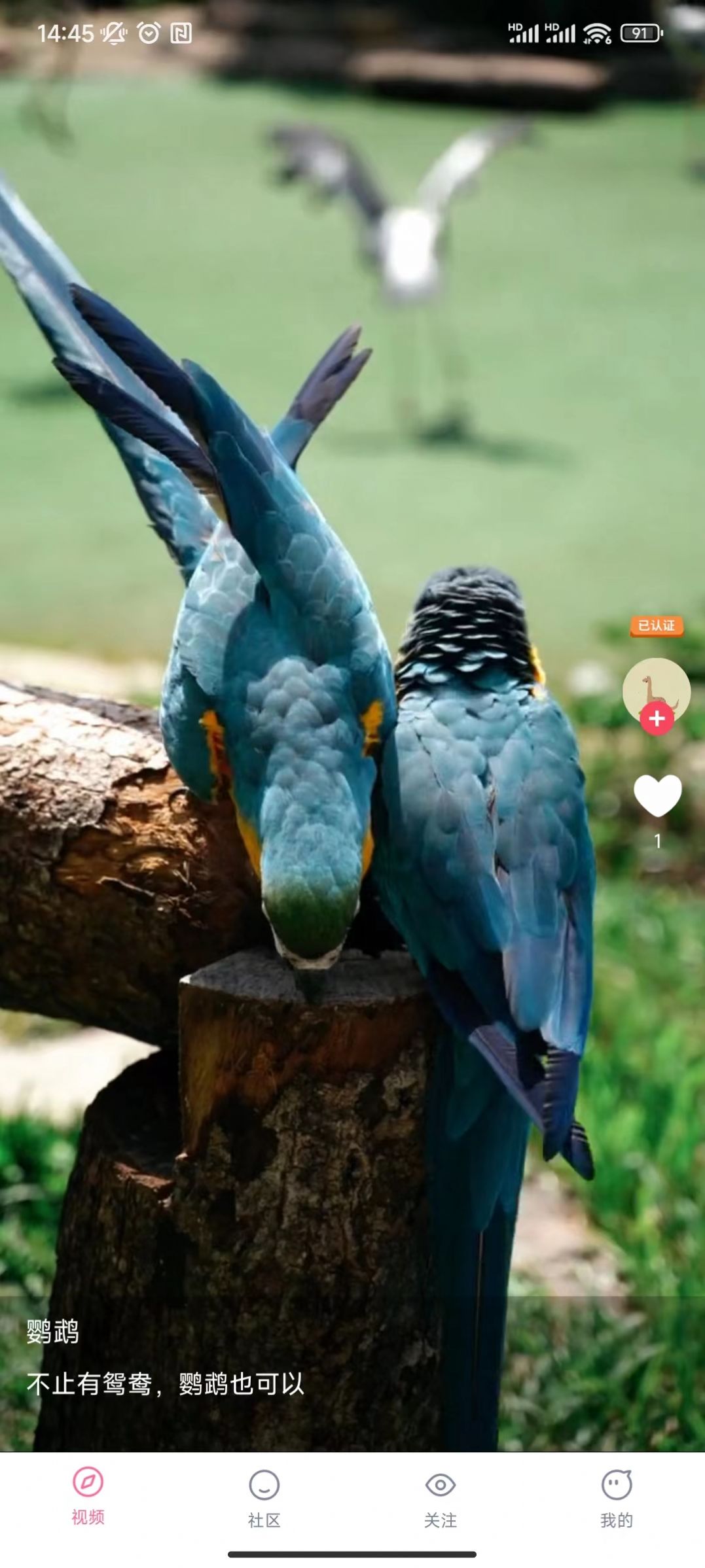 �̾�㳡app��Ѱ�����