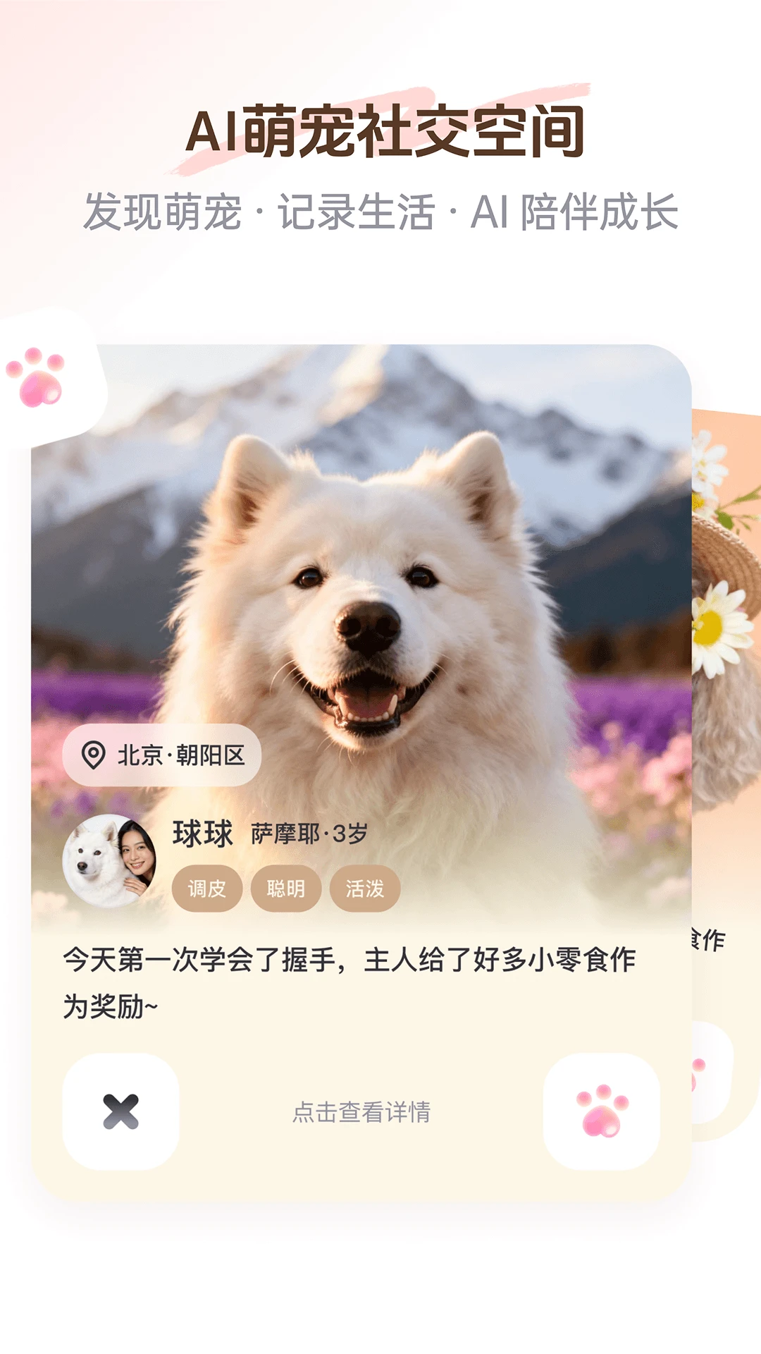 PetSpace2.5.0 宠物空间管理 PetSpace2.5.0 宠物空间管理