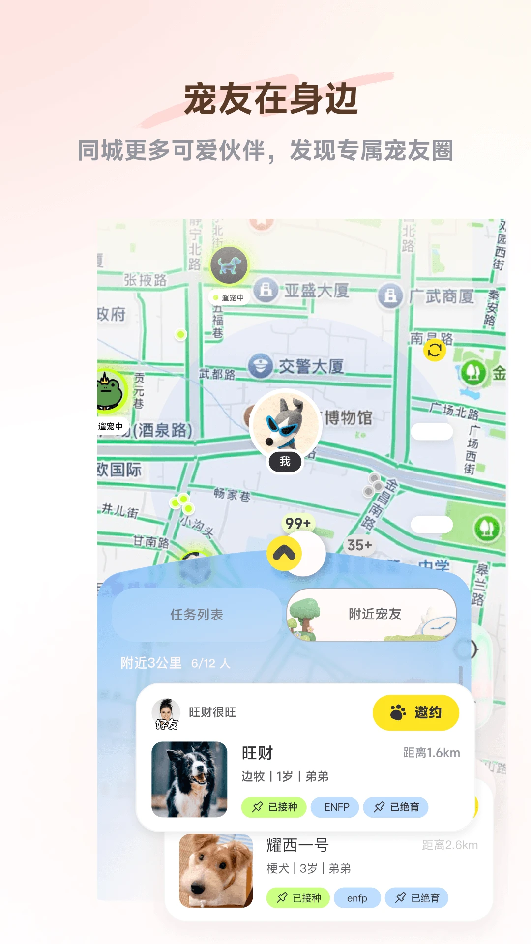 PetSpace2.5.0 宠物空间管理 PetSpace2.5.0 宠物空间管理