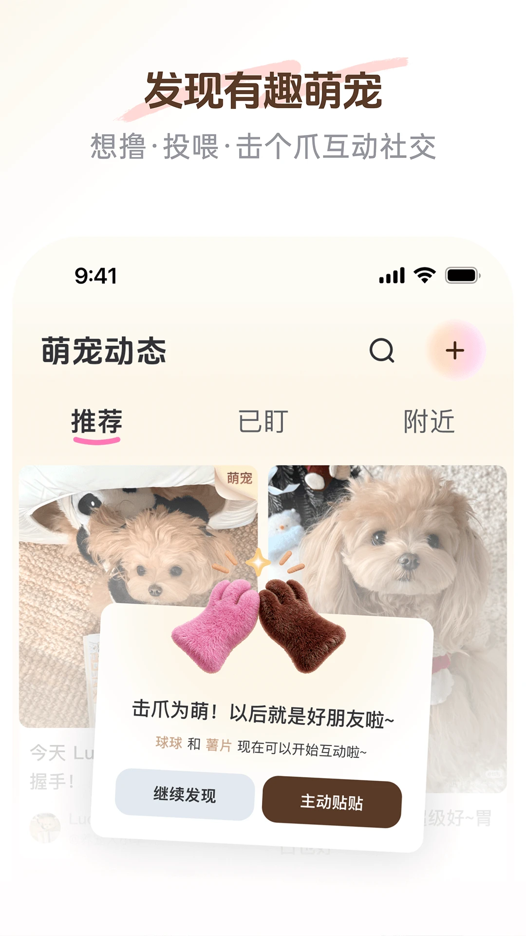 PetSpace2.5.0 宠物空间管理 PetSpace2.5.0 宠物空间管理