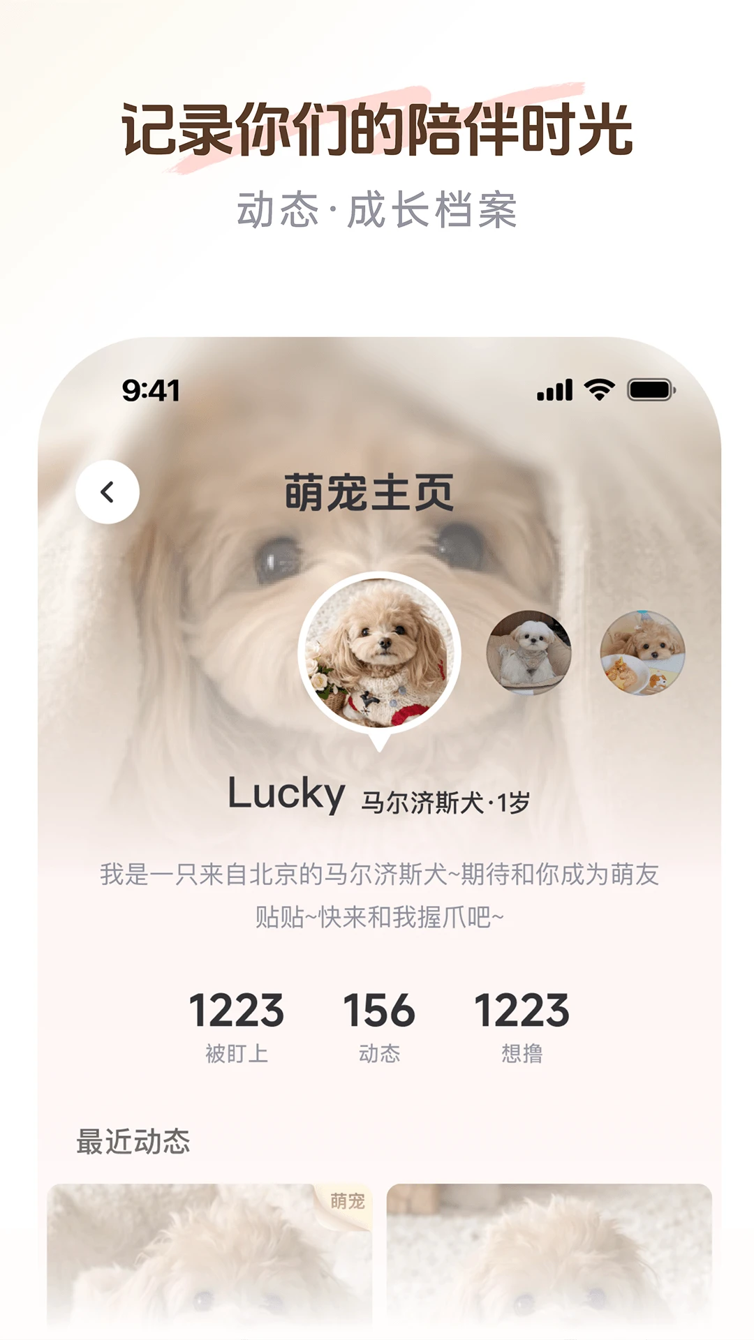 PetSpace2.5.0 宠物空间管理 PetSpace2.5.0 宠物空间管理