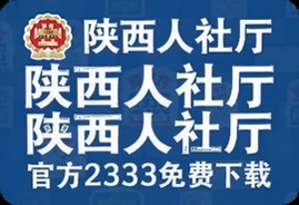 陕西人社厅12333官方免费下载指南
