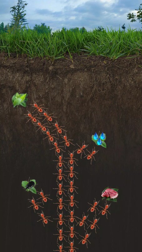 蚂蚁小小蚁国地下王国守卫游戏安卓下载(The ants underground kingdom) 蚂蚁小小蚁国地下王国守卫游戏安卓下载(The ants underground kingdom)