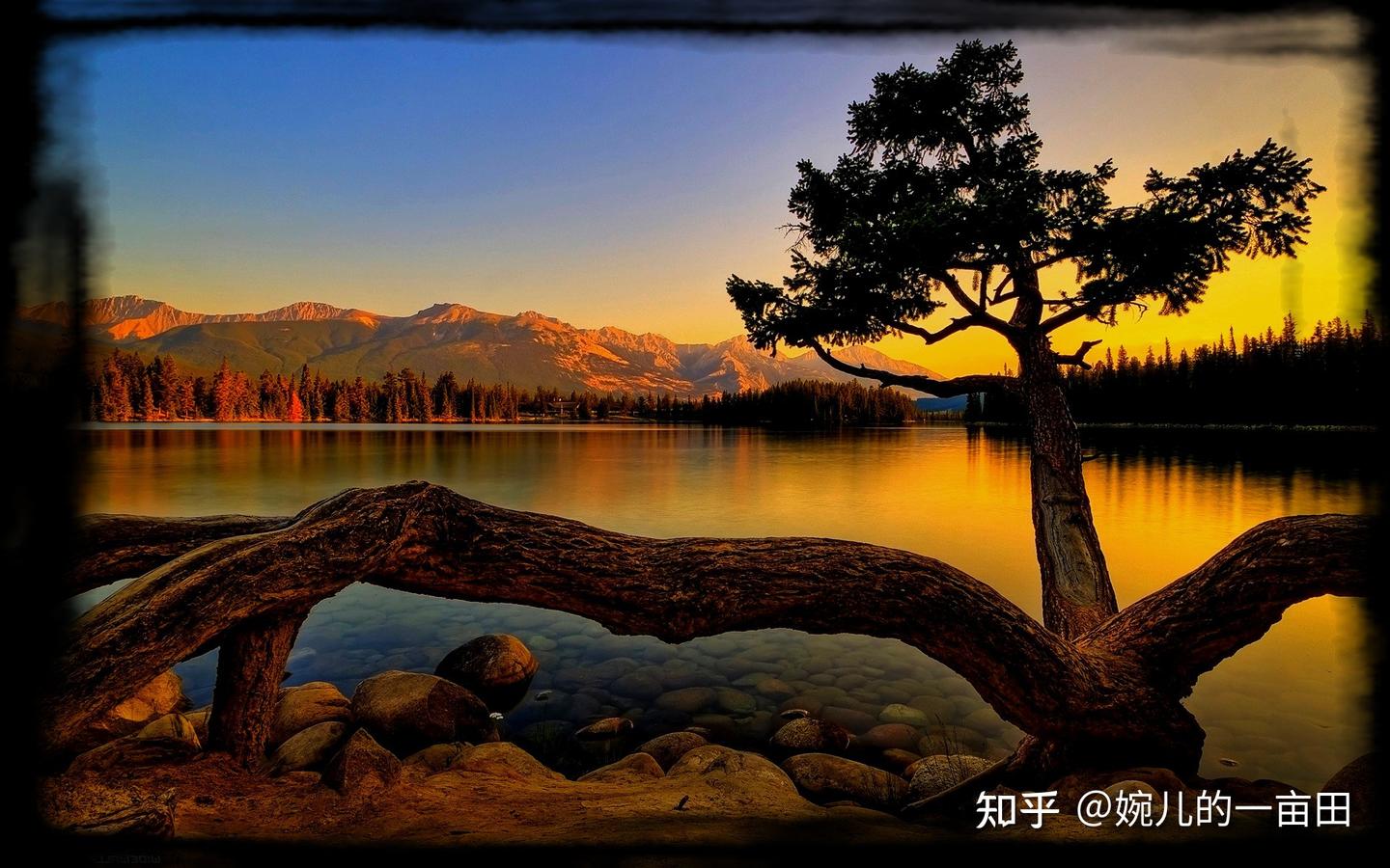 水印相机打卡全能拍照 手机拍照界面展示时间地点水印效果
