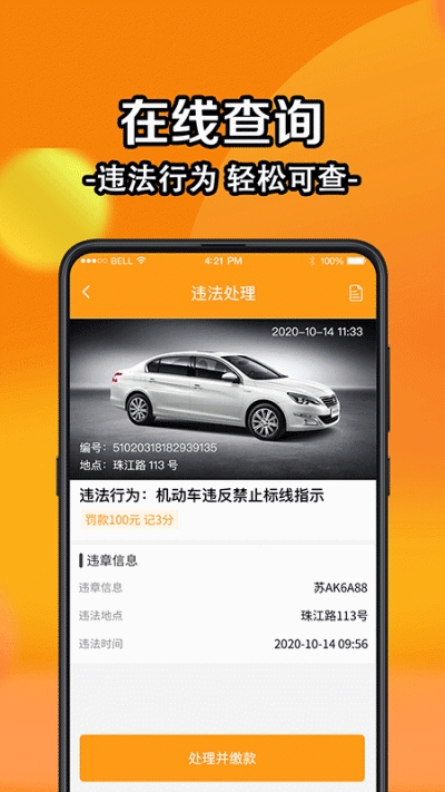 车辆违规代码助手 安卓版 界面截图