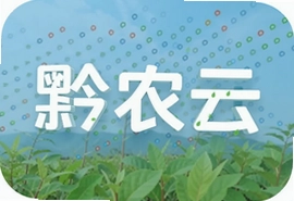 黔农云怎么用才划算?农村金融服务全攻略