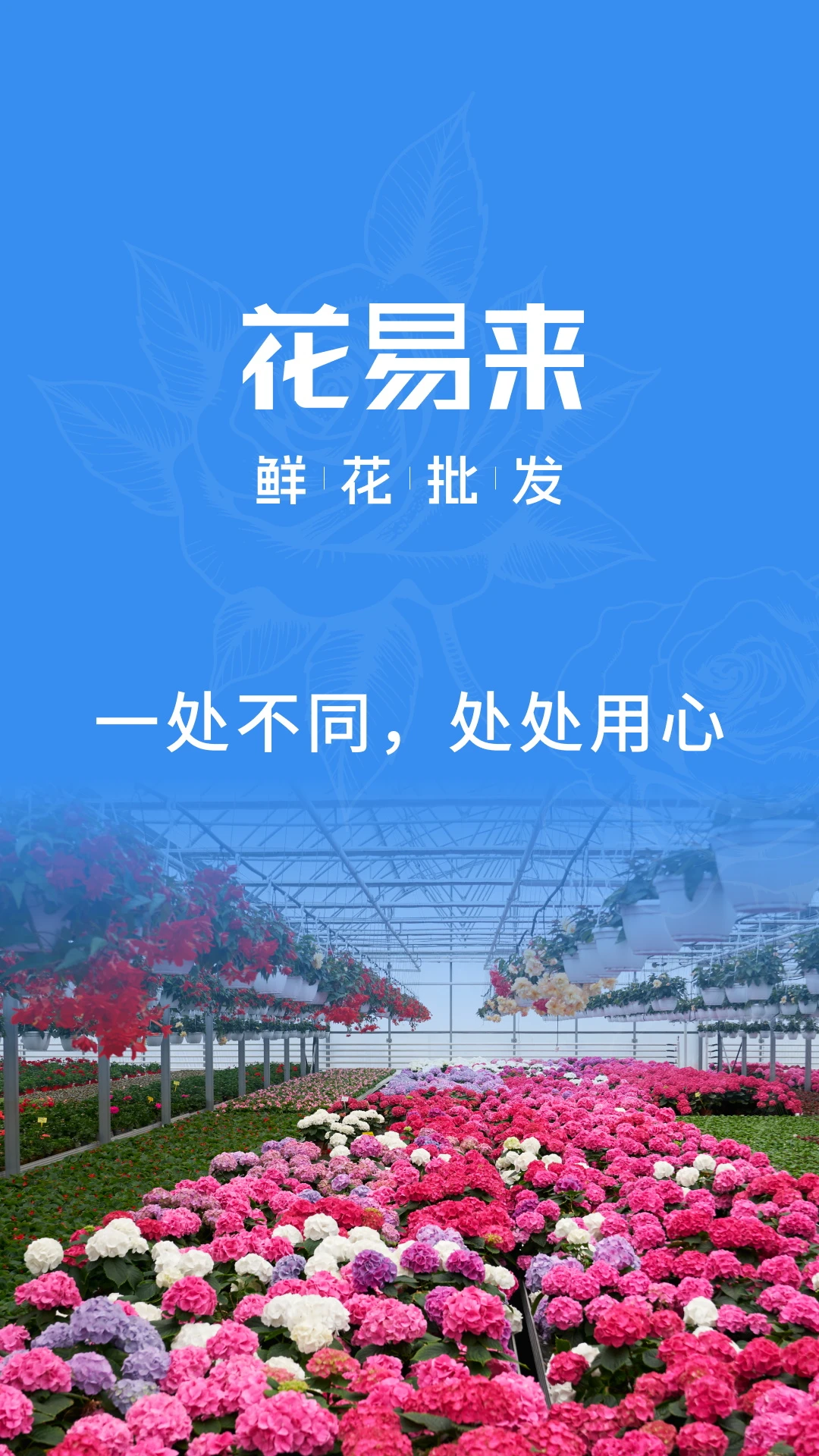 花易来1.8.8 鲜花批发采购 花易来1.8.8 鲜花批发采购