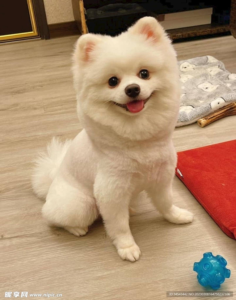 �ϻ���˱� ��׿�� ��Ŀ�༭����