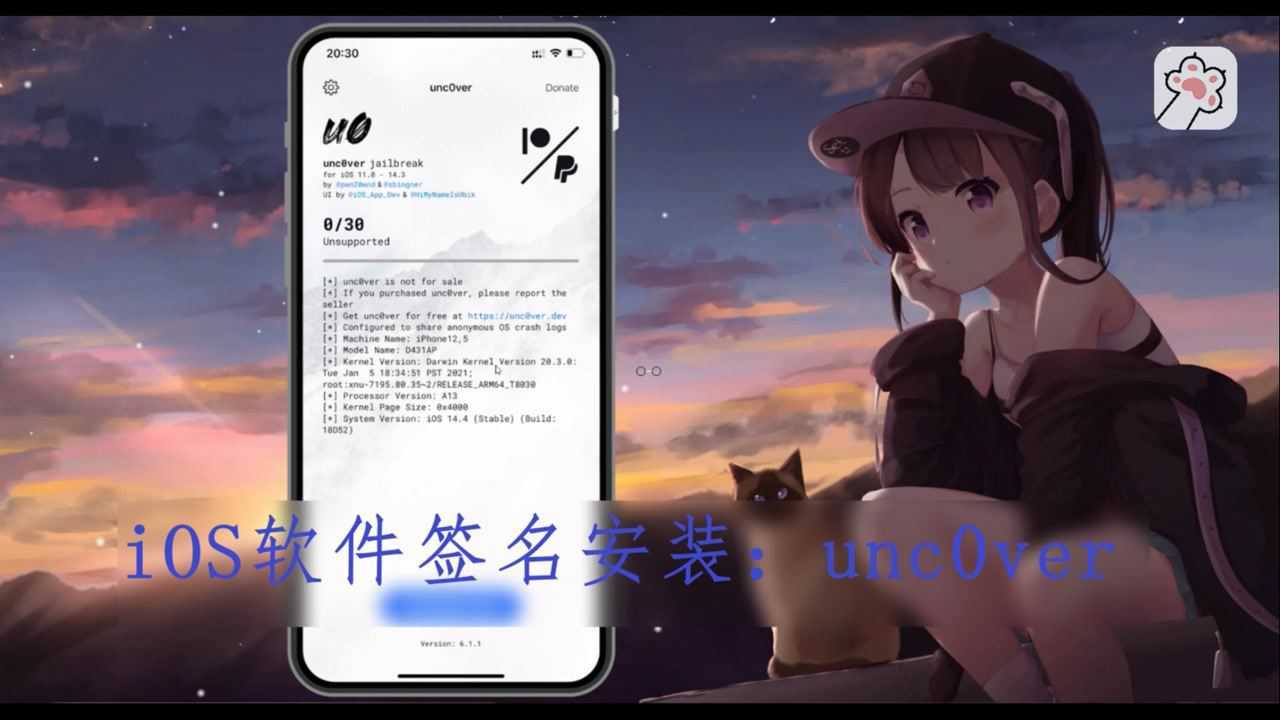 战斗霸权官方iOS越狱版签名安装实操配图