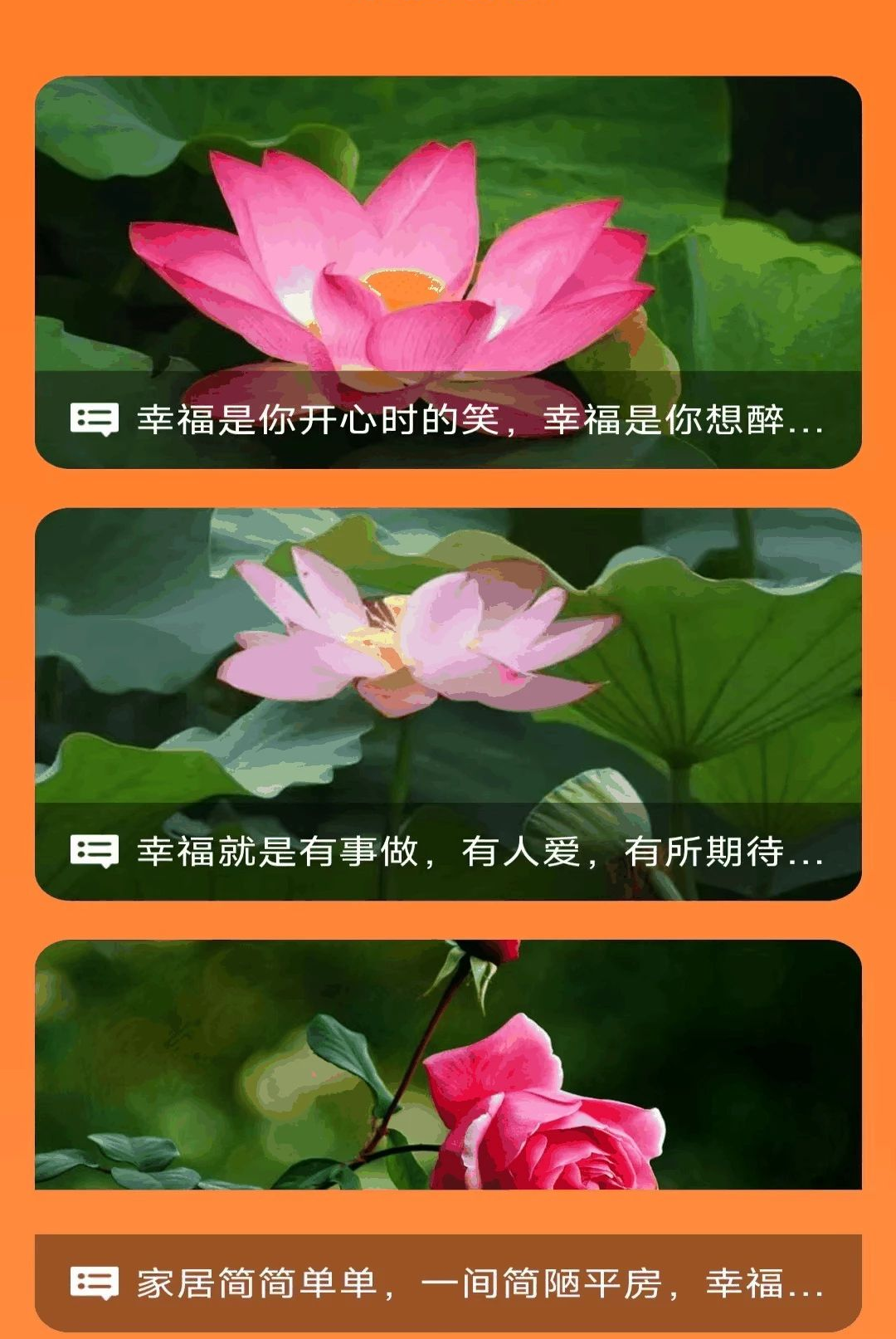 �Ҹ�����2.8.2.3 �����������