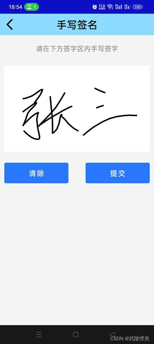 手签 安卓版 签名界面