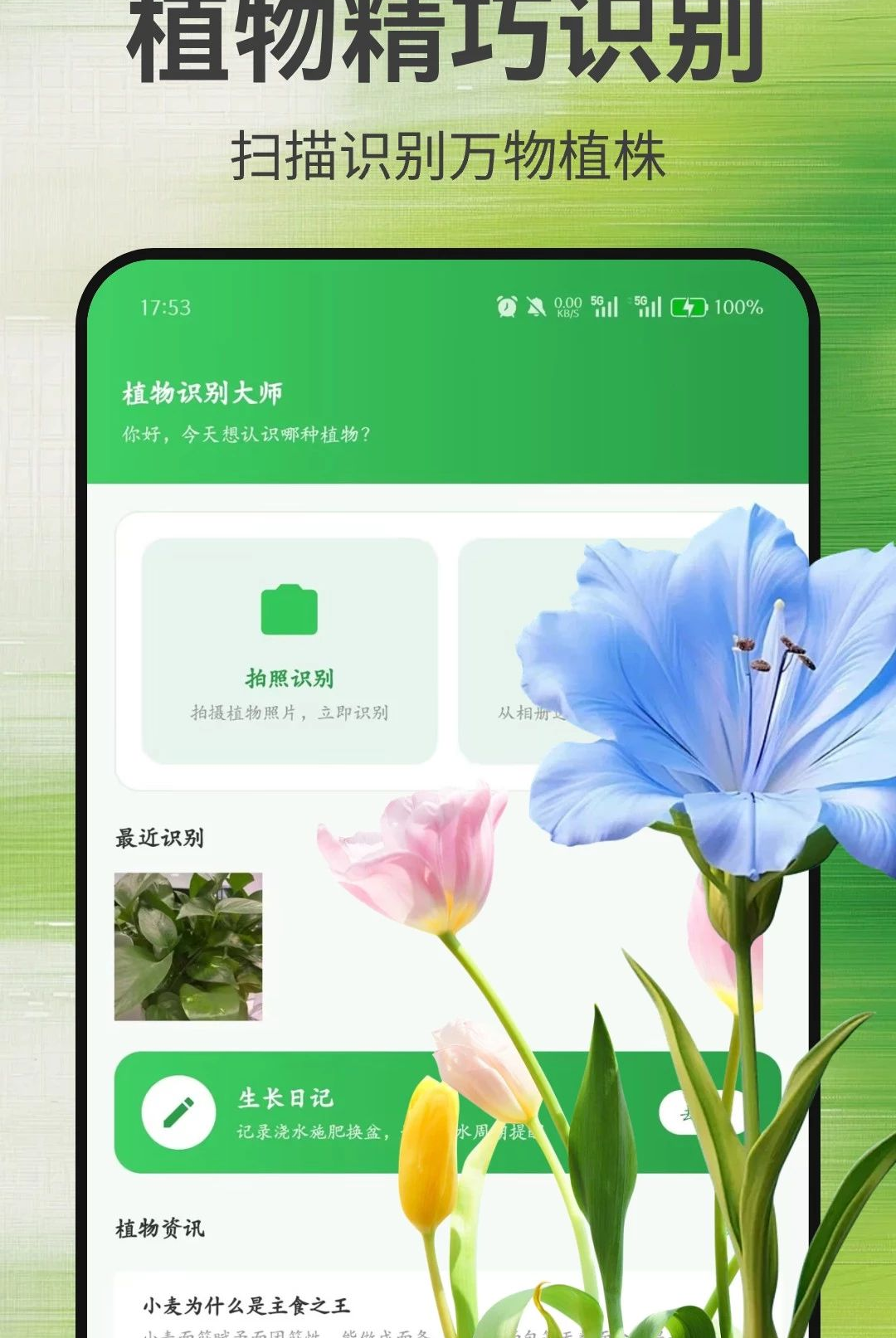植物识别大师1.0.2 拍照识花辨草 植物识别大师1.0.2 拍照识花辨草