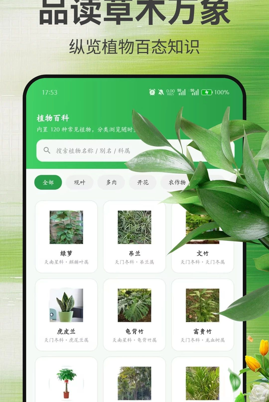 植物识别大师1.0.2 拍照识花辨草 植物识别大师1.0.2 拍照识花辨草