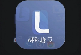 The L手机版APP下载官方正版快速安装指南
