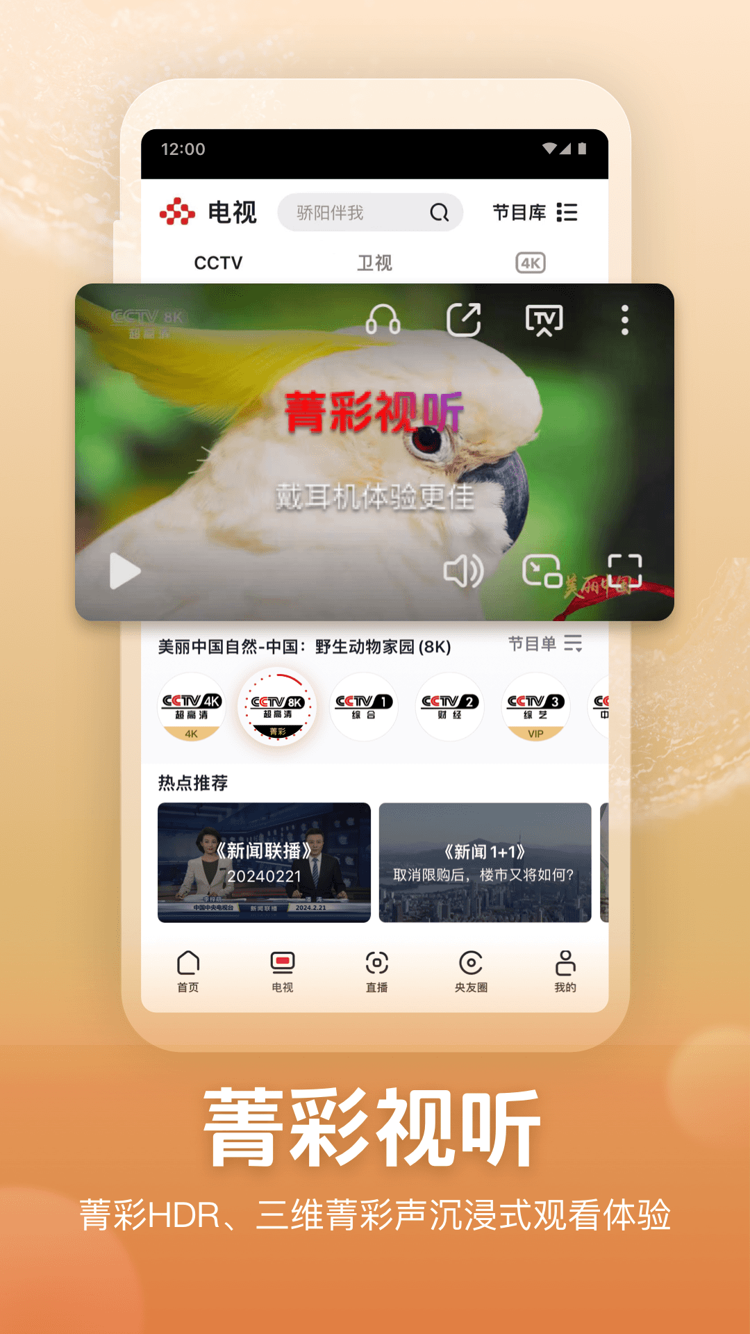 央音视频手机版APP官方下载安装入口界面截图 包含下载渠道与安装步骤概览