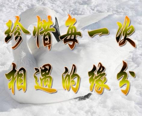 ����Ե�� �ȴ�Ե�ֵ�����ʵ������ͼ
