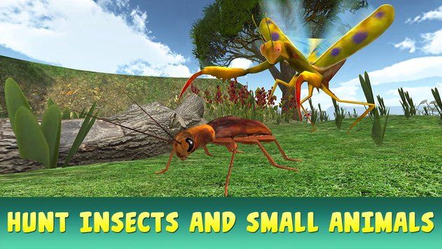 Ұ�����ģ������Ϸ��׿���İ棨Mantis Insect Life Simulator��