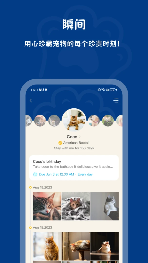 PawView1.4.2 ������ﻥ��