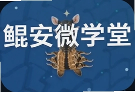 �ﰲ΢ѧ������ѧϰƽ̨������������ʵ�ü���