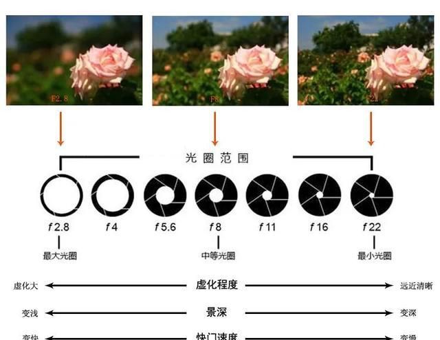 绽影全景对焦曝光锁定拍摄细节